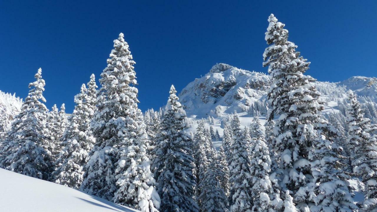 Mountain Chalet Milly Λιβίνιο Εξωτερικό φωτογραφία